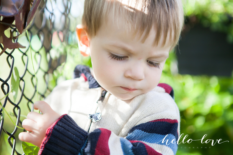 Blog Molitor